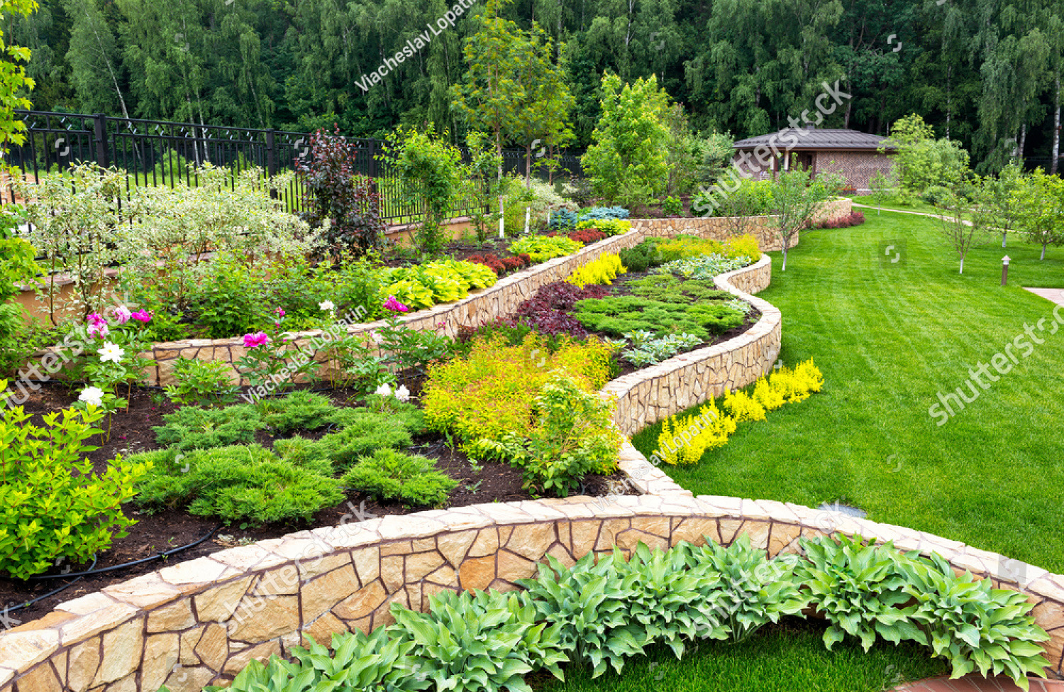 stock-photo-natural-landscaping-panorama-in-home-garden-beautiful-view-of-nice-landscaped-garden-in-backyard-639534952